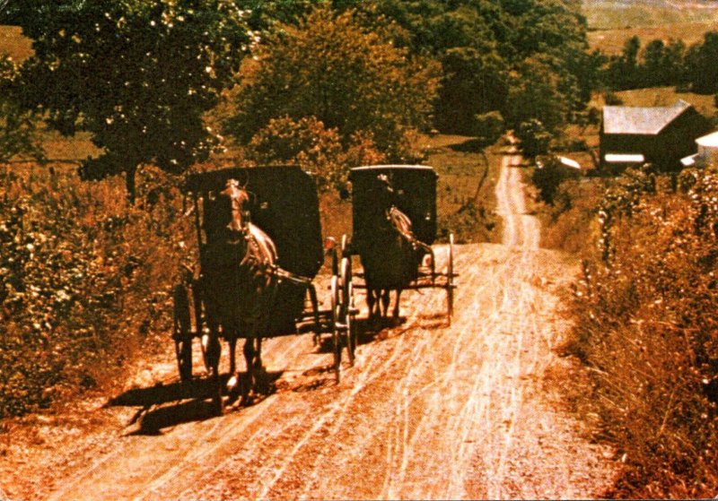 Iowa Amis Country Amish Buggies