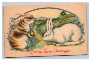 Vintage 1910's Winsch Back Easter Postcard Cute Bunnies on Country Road