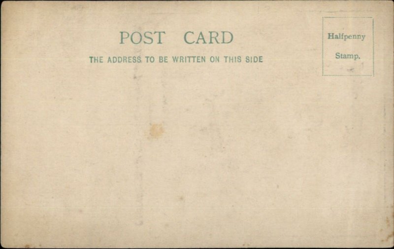 Circus Sideshow Act JESTER & JOKER Eccentrics w/ Wheelbarrow c1905 Postcard