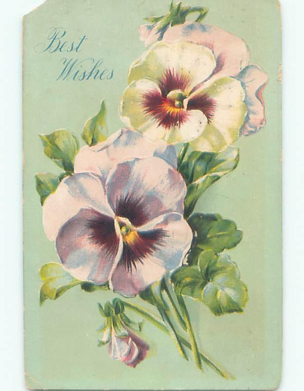 Pre-Linen BEAUTIFUL PINK AND WHITE PANSY FLOWERS FOR BEST WISHES k4365