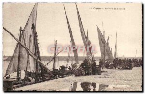 Sete - This - Arrival of fish - fish - Old Postcard