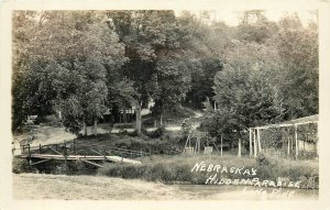 Postcard RPPC 1920s Nebraska Lone Pine Hidden Paradise NE24-254