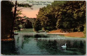 Duck Pond Forest Park Landscape Water Lined by Trees Springfield MA Postcard