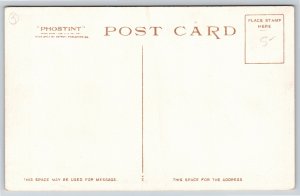 Detroit Pub Co~Revolutionary Soldier's Monument Lexington MA~Vintage Postcard