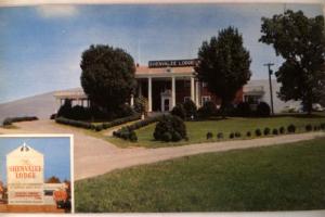 Unused 1950's SHENVALEE LODGE & RESTAURANT New Market Virginia VA postcard y3320