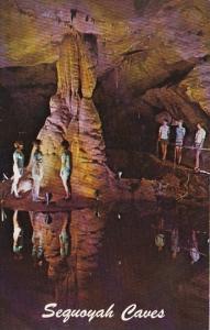 Sequoyah Caves Hammondville Alabama