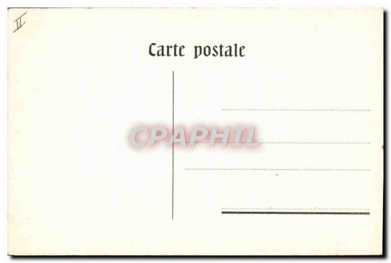 Old Postcard Bern Bear Die Baren