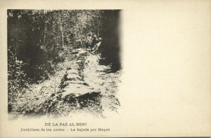 bolivia, BENI, Cordilliera de Los Andes, La Bajada por Mapiri (1899) Postcard