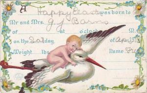 Stork Flying With Baby On Back