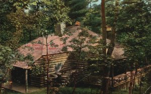 Vintage Postcard Log Cabin Pine Oak Park Malden Massachusetts Metropolitan News