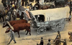 Ezra Meeker's Ox Team Industrial Parade, Kansas City, MO 1910 Vintage Postcard