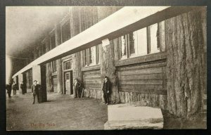 Mint Vintage Big Stick Alaska Yukon Pacific Exposition Real Photo Postcard RPPC