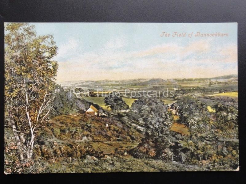 Scotland: The Field of Bannockburn c1905 by Valentine's 