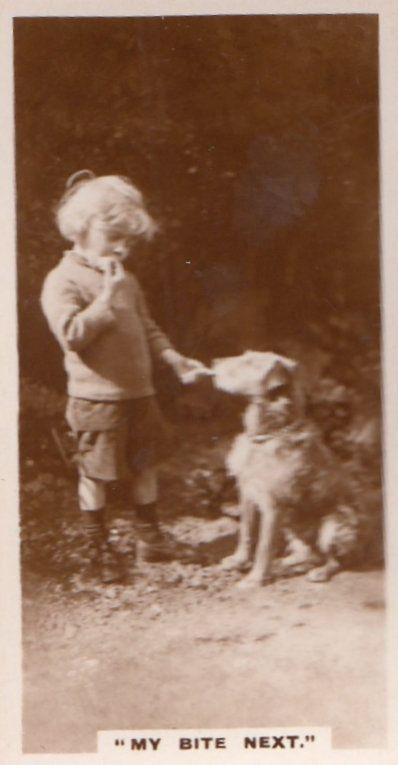 Child Sharing Food With Dog Antique German Real Photo Cigarette Card