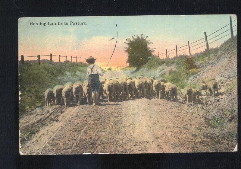 HERDING LAMBS TO PASTURE FARMING LINCOLN NEBRASKA TECUMSEH NEB. POSTCARD