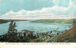 c1910 Coeur D'Alene Idaho Birdseye View Resort Sprouse & Sons Postcard 25-11748
