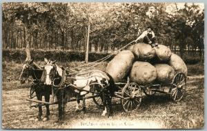 OKLAHOMA POTATOES EXAGGERATED 1909 ANTIQUE REAL PHOTO POSTCARD RPPC HORSE WAGON