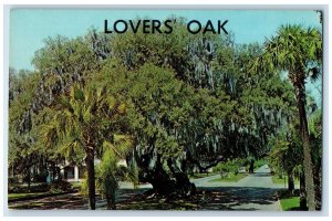 c1950's View Of Lover's Oak Brunswick Georgia GA Unposted Vintage Postcard