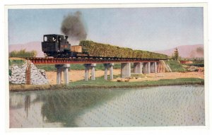 Taiwan 1956 Unused Postcard Sugar Cane Train Locomotive Railway