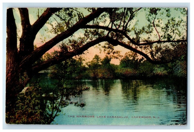 1911 Narrows Lake Carasaljo Toms River Lakewood New Jersey NJ Vintage Postcard