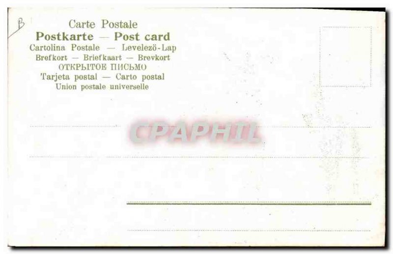 Old Postcard Wine Harvest Donkey Mule