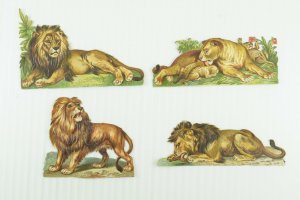 1880's Fab Lovely Die Cut Victorian Lion Lioness Lot of 4 PD258