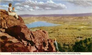 Apple Orchards Columbia River Wenatchea Valley Washington WA Postcard