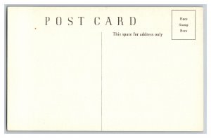 Postcard Vernal Falls Vintage Standard View Card Yosemite National Park 