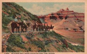 Vintage Postcard On Kaibab Excellent Trail Grand Canyon National Park Arizona AZ