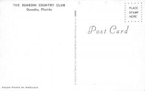 Dunedin Florida Country Club Vintage Postcard AA60440