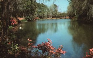 Vintage Postcard 1968 Mirror Lake Bellingrath Garden Mobile Alabama Carter's New