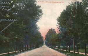 Vintage Postcard 1910's North Main Street Tall Trees Coudersport Pennsylvania PA