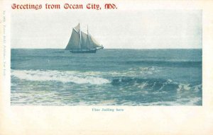 Ocean City Maryland sail boat Greetings from vintage pc CC381