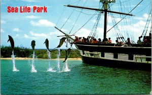 Vtg Sea Life Park Dolphins Jumping Sailboat Oahu Hawaii HI Unused Postcard