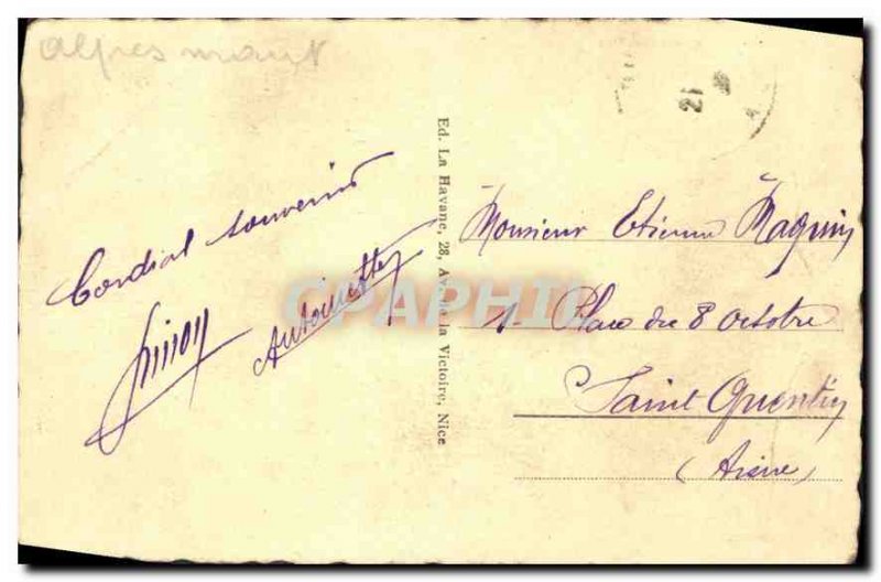 Postcard Old Nice view through the pines