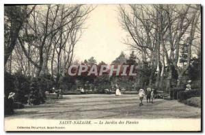 Postcard Old St Nazaire The garden plants