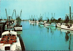 South Carolina Mount Pleasant Shem Creek Shrimp Fleet