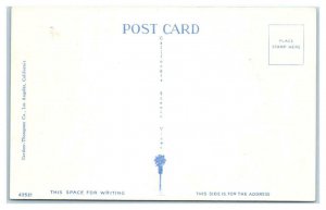 LONG BEACH CA California Water Carnival & ROLLER COASTER  c1940s Postcard