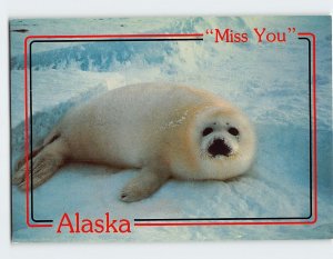 Postcard Miss You, Alaska