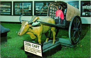 Perry's Tropical Nut House Belfast, Maine Zebu Cart Postcard 