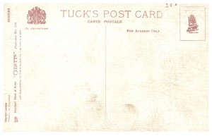 Dog ,The Meet   ( Fox Hunt )