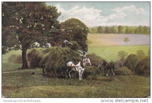 Horse and Wagon Being Loaded With Hay 1908