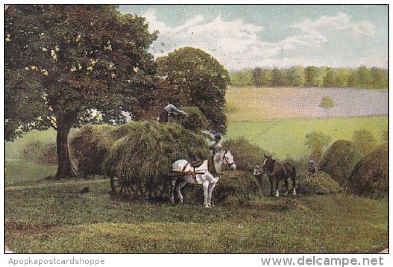 Horse and Wagon Being Loaded With Hay 1908