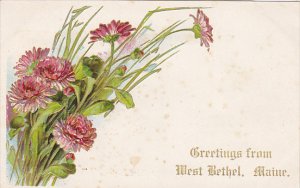 Maine Greetings From West Bethel Advertising Whitten and Dennison Postcards