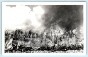 RPPC  HAWAIIAN ISLANDS, Hawaii HI ~ CANE FIRE ca 1930s Real Photo  Postcard