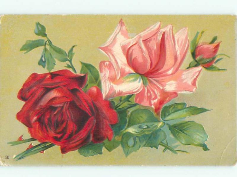 Divided-Back BEAUTIFUL FLOWERS SCENE Great Postcard AA2796