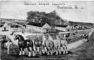G11/ Bushnell Illinois Postcard c1910 Trumans Pioneer Horse Stud Farm