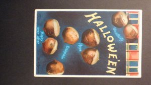 USA Halloween Postcard Cover 1911 Binghamton NY to Auburn NY Love Acorns