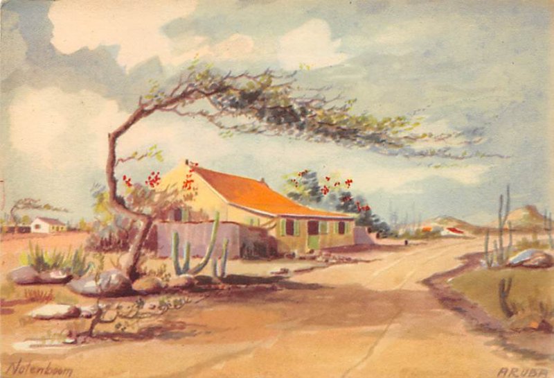 Native House With Divi-Divi Tree, Notenboom Aruba Unused 