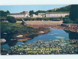 Chrome SCHOOL SCENE San Francisco California CA AG9917